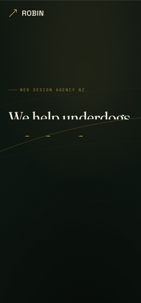 The Robin agency website